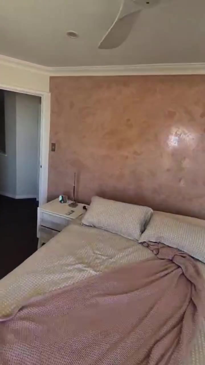Soft blush Venetian plaster bedroom feature wall